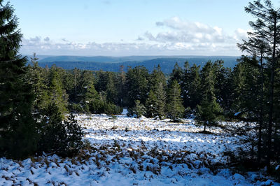 Scenic view of waterfall against sky during winter