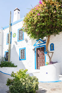 Low angle view of tree by building against sky
