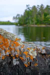 Close-up of autumn leaf on rock by lake against sky