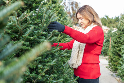 Woman looking at trees while standing in christmas tree farm