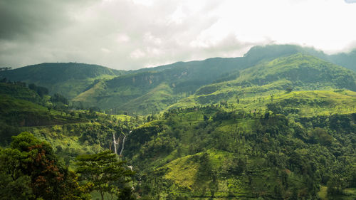 Scenic view of green landscape against sky