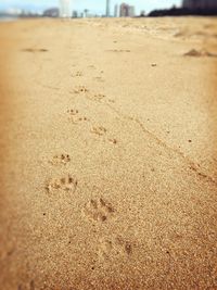 Close-up of sand