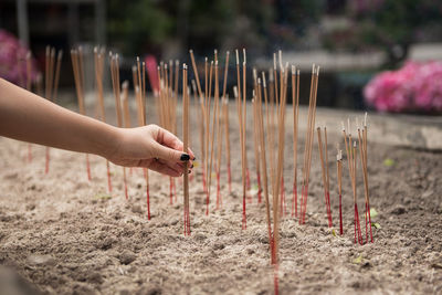 Close-up of hand holding incense