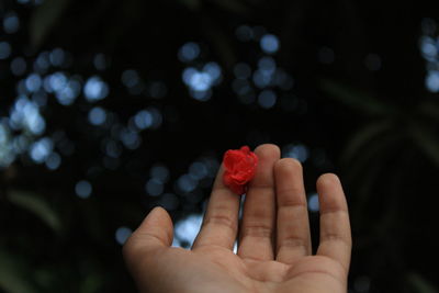 Cropped hand holding red flower