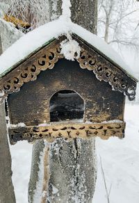 Close-up of icicles on snow covered tree