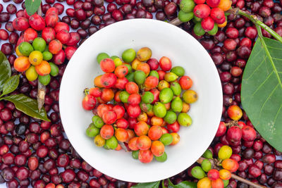 Directly above shot of fruits in bowl