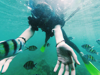 People swimming in sea with manu fish at karimunjawa island