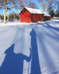 Shadow of people on snow covered tree