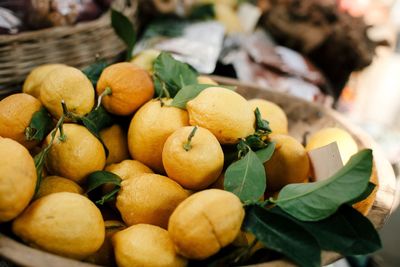 Close-up of fruits in basket