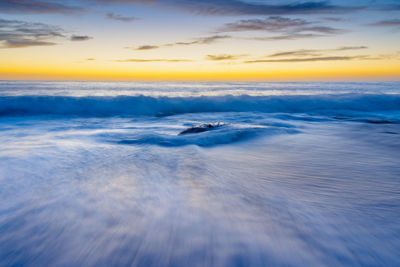 View of swan in sea against sunset sky