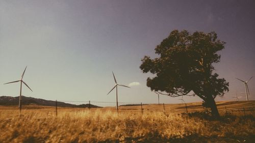 Wind turbines on field