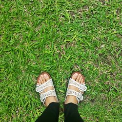 Low section of woman standing on grassy field