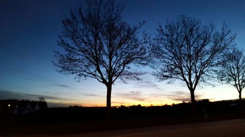 Silhouette of bare trees on landscape at sunset