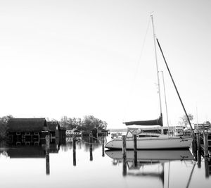 Sailboats moored in harbor against clear sky