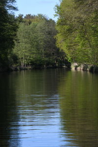 reflection