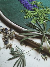 High angle view of leaves on table