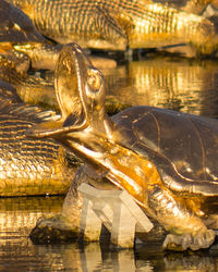 Close-up of water