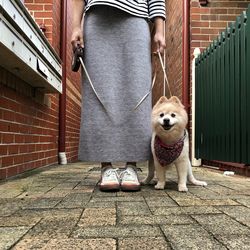 Man holding dog standing on footpath