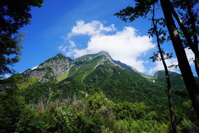 Low angle view of mountain against sky