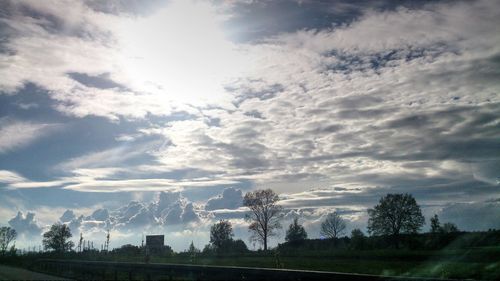 Low angle view of trees against sky