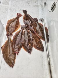 High angle view of fish on plate