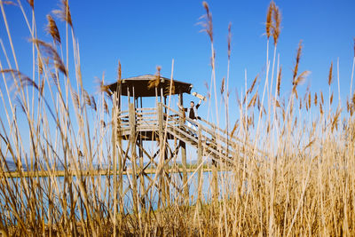 Scenic view of farm against clear sky