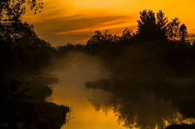 Silhouette trees on landscape against orange sky