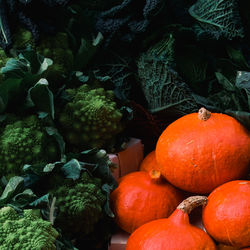 Close-up of vegetables with contrast color