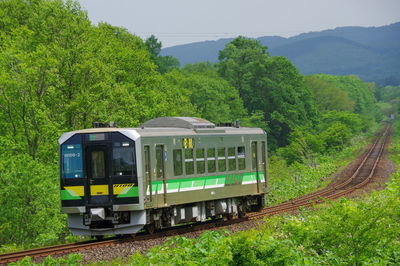 Green trees and local train