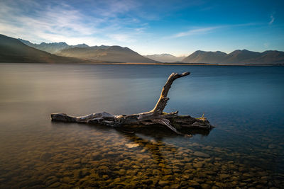 Driftwood in lake against sky