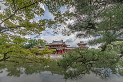 Reflection of trees in house