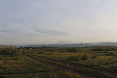 Scenic view of agricultural field against sky