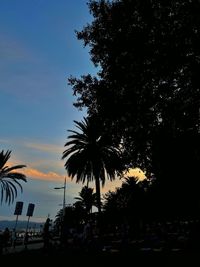 Silhouette of palm trees against sky during sunset