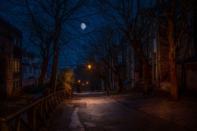 Empty road amidst bare trees in city at night