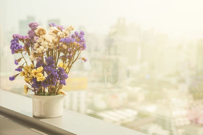 Close-up of flower pot on table