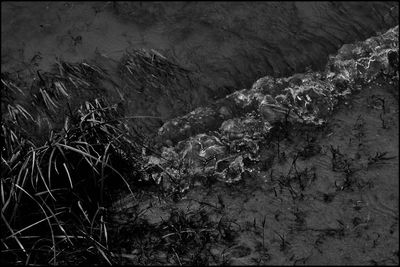 Full frame shot of rock on land