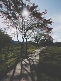 Scenic view of grassy field against sky