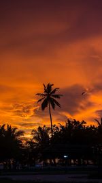 Silhouette palm trees against orange sky