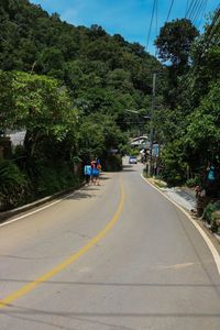 Road amidst trees against sky