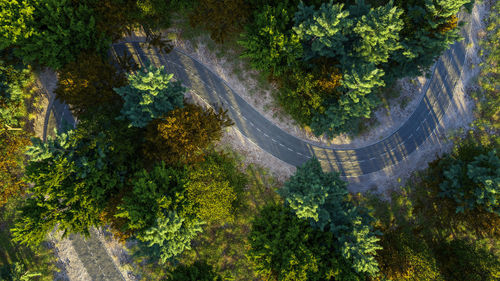 High angle view of road amidst trees in forest