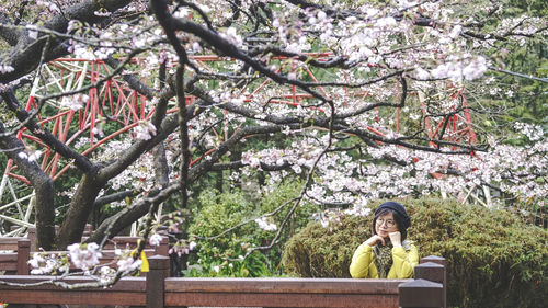 Rear view of woman standing under cherry blossom tree