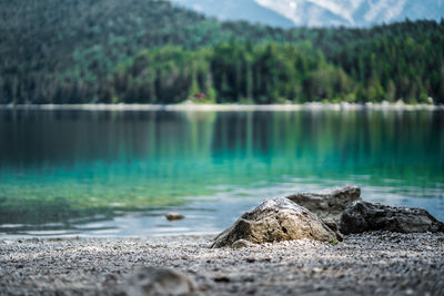 Close up rock with scenic view of lake by trees against mountain in garmisch eibsee