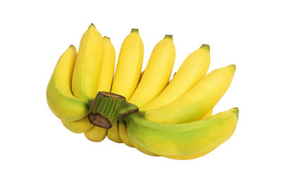 Close-up of yellow fruit against white background