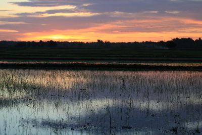 Scenic view of field against sky during sunset