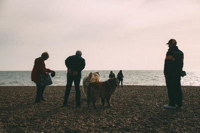 Dogs on beach against sky