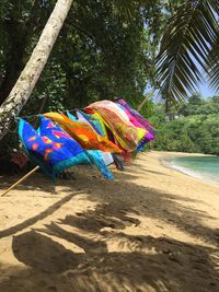 Multi colored umbrella on beach