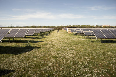 Solar panels in rows with female engineer walking in field against sky