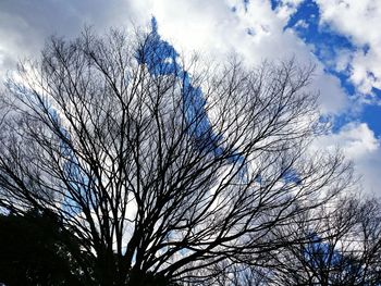 Low angle view of silhouette bare tree against sky