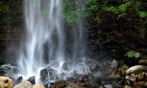 View of waterfall in forest