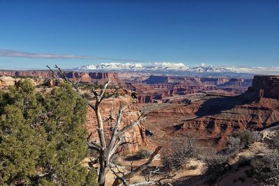 Scenic view of landscape against clear blue sky